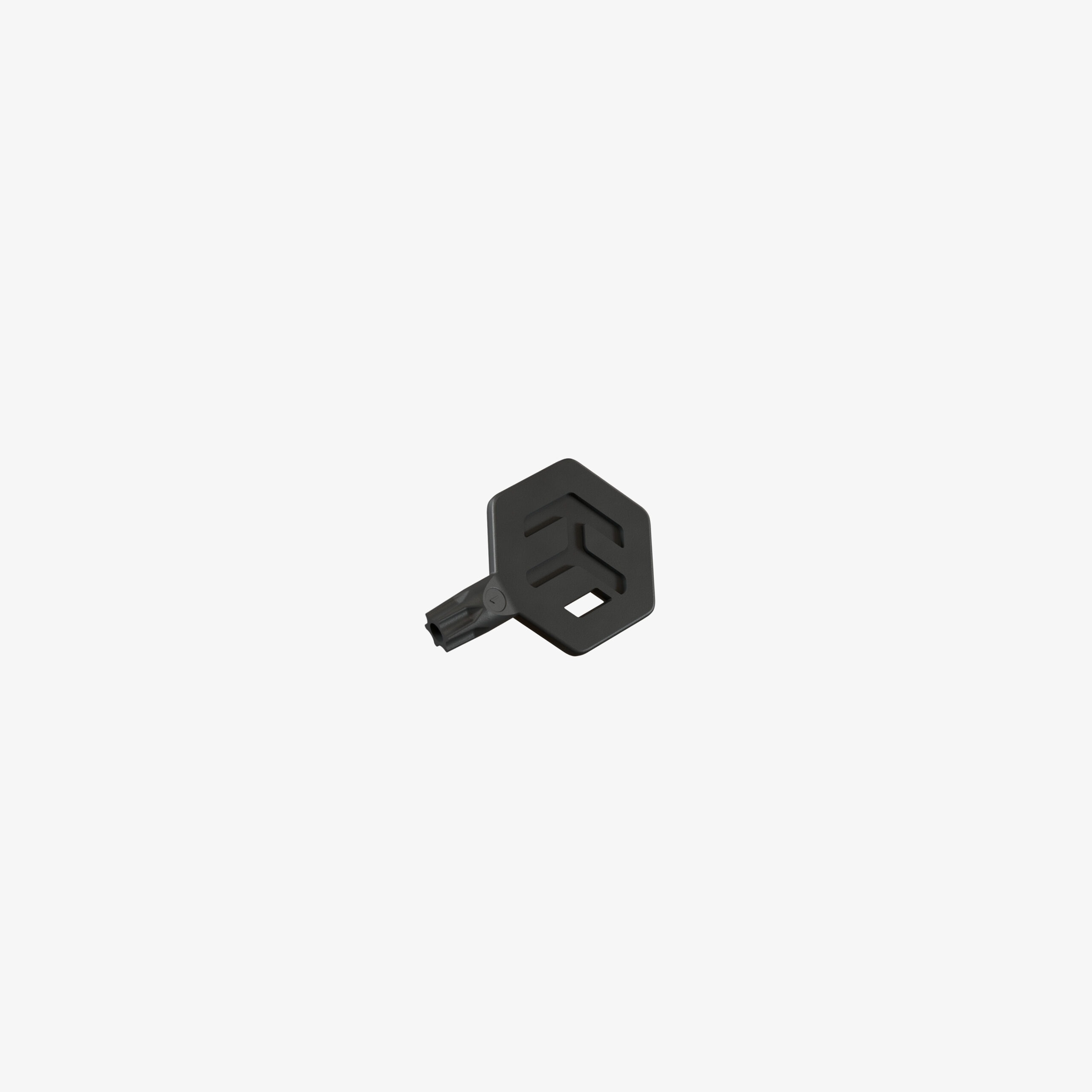 MikroTik hAP be³ Media Torx Key